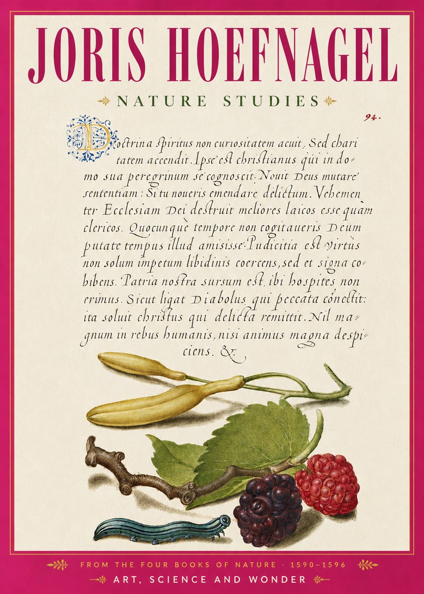 Joris Hoefnagel Nature Studies No6 - Juliste
