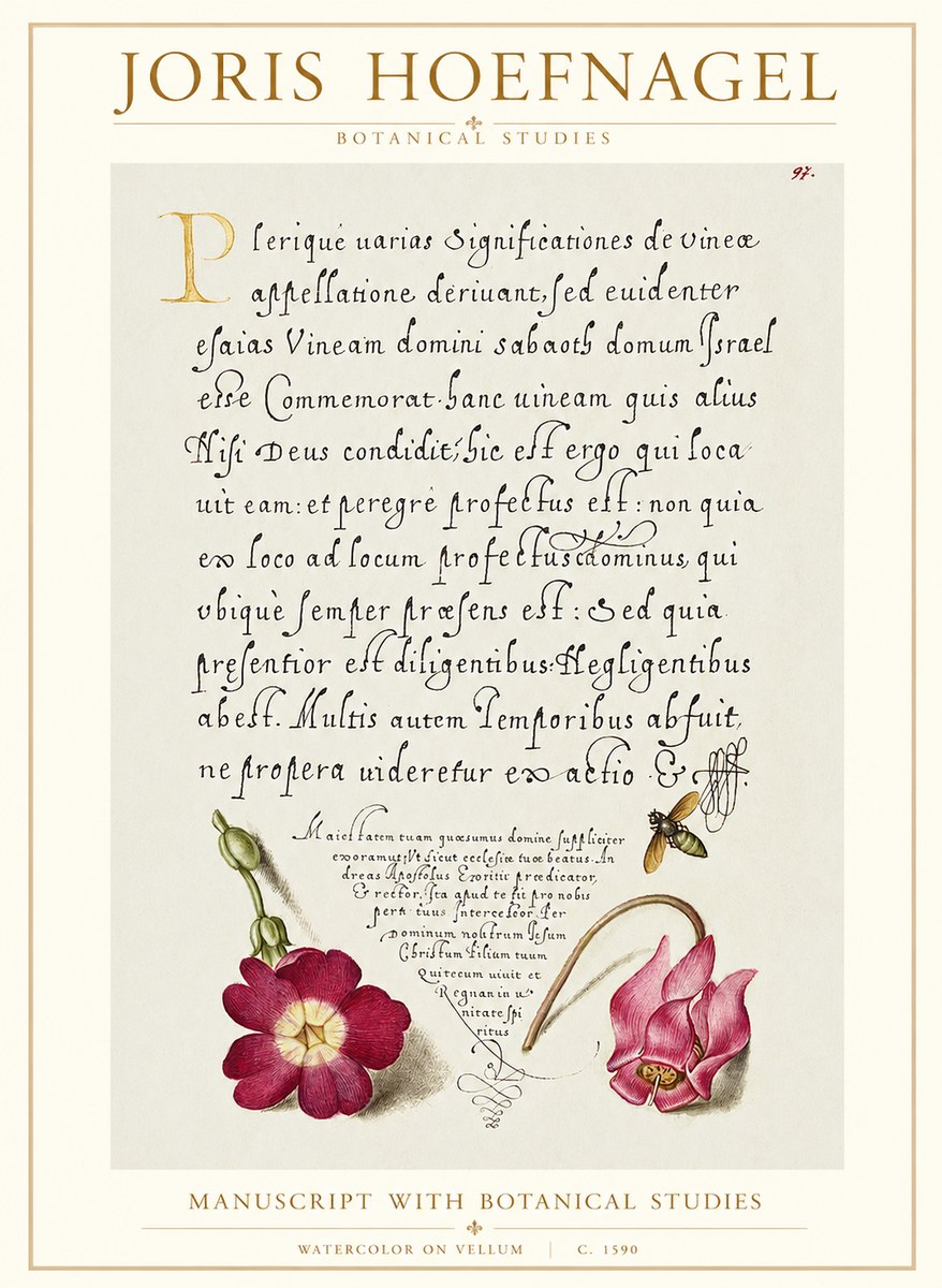Joris Hoefnagel Manuscript with Botanical Studies No1 - Juliste
