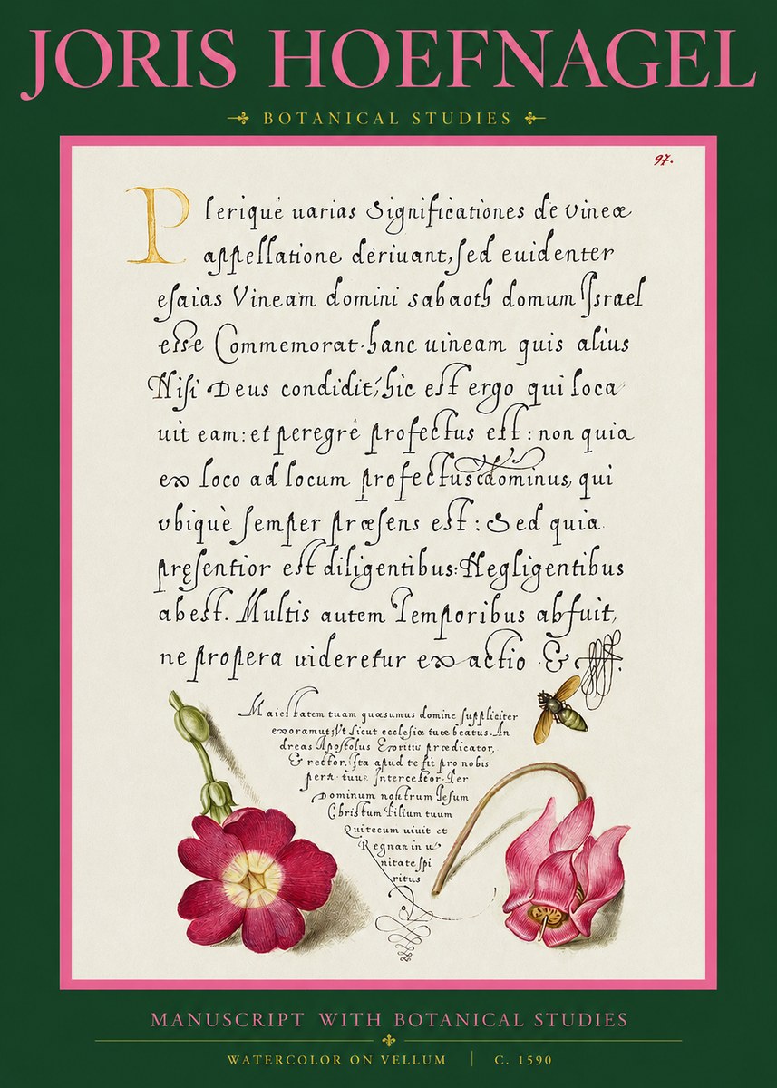 Joris Hoefnagel Manuscript with Botanical Studies No2 - Juliste