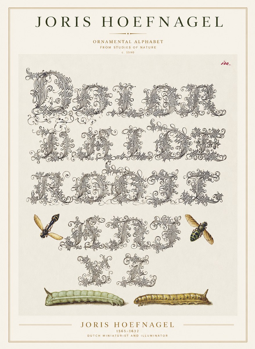 Joris Hoefnagel Ornamental Alphabet from Studies of Nature No1 - Juliste