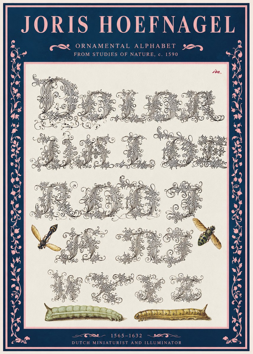 Joris Hoefnagel Ornamental Alphabet from Studies of Nature No2 - Juliste