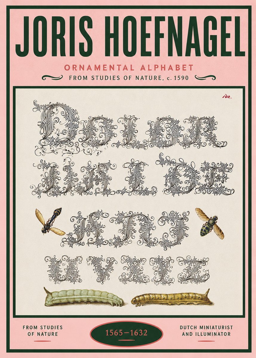 Joris Hoefnagel Ornamental Alphabet from Studies of Nature No4 - Juliste