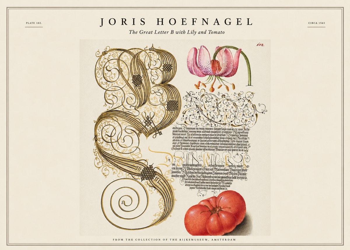 Joris Hoefnagel The Great Letter B with Lily and Tomato No1 - Juliste
