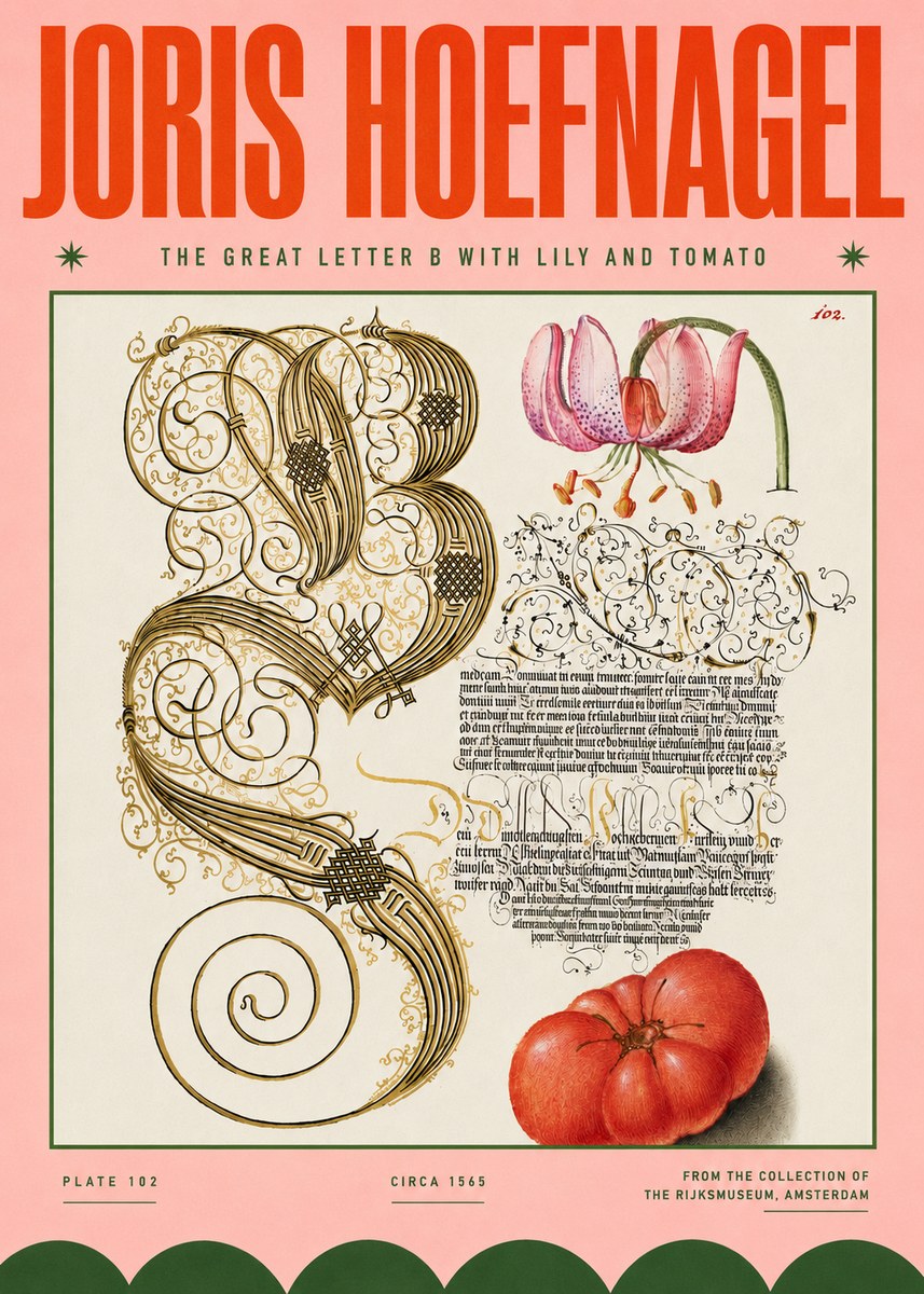 Joris Hoefnagel The Great Letter B with Lily and Tomato No4 - Juliste