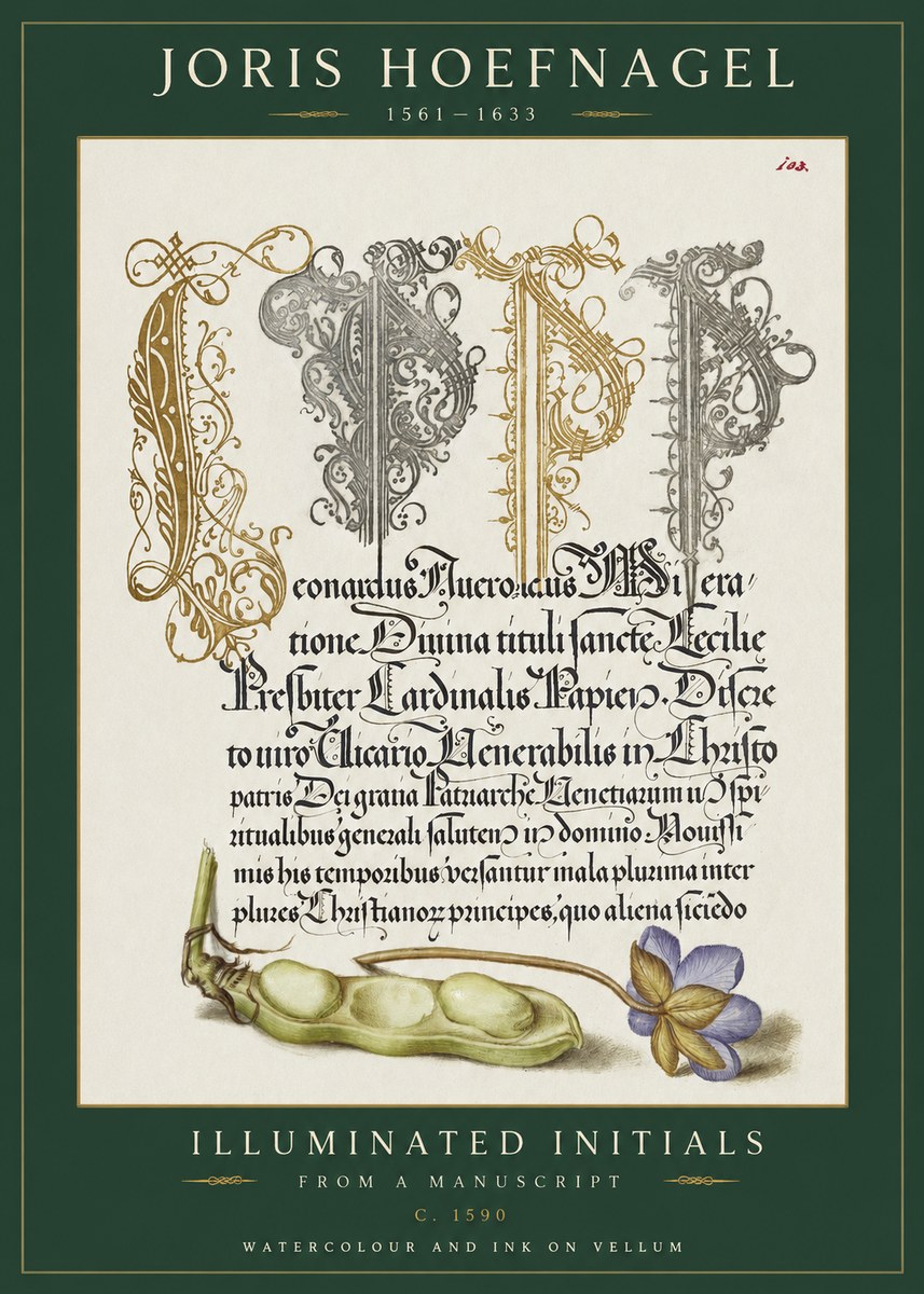 Joris Hoefnagel Illuminated Initials with Peapod and Flower No2 - Juliste