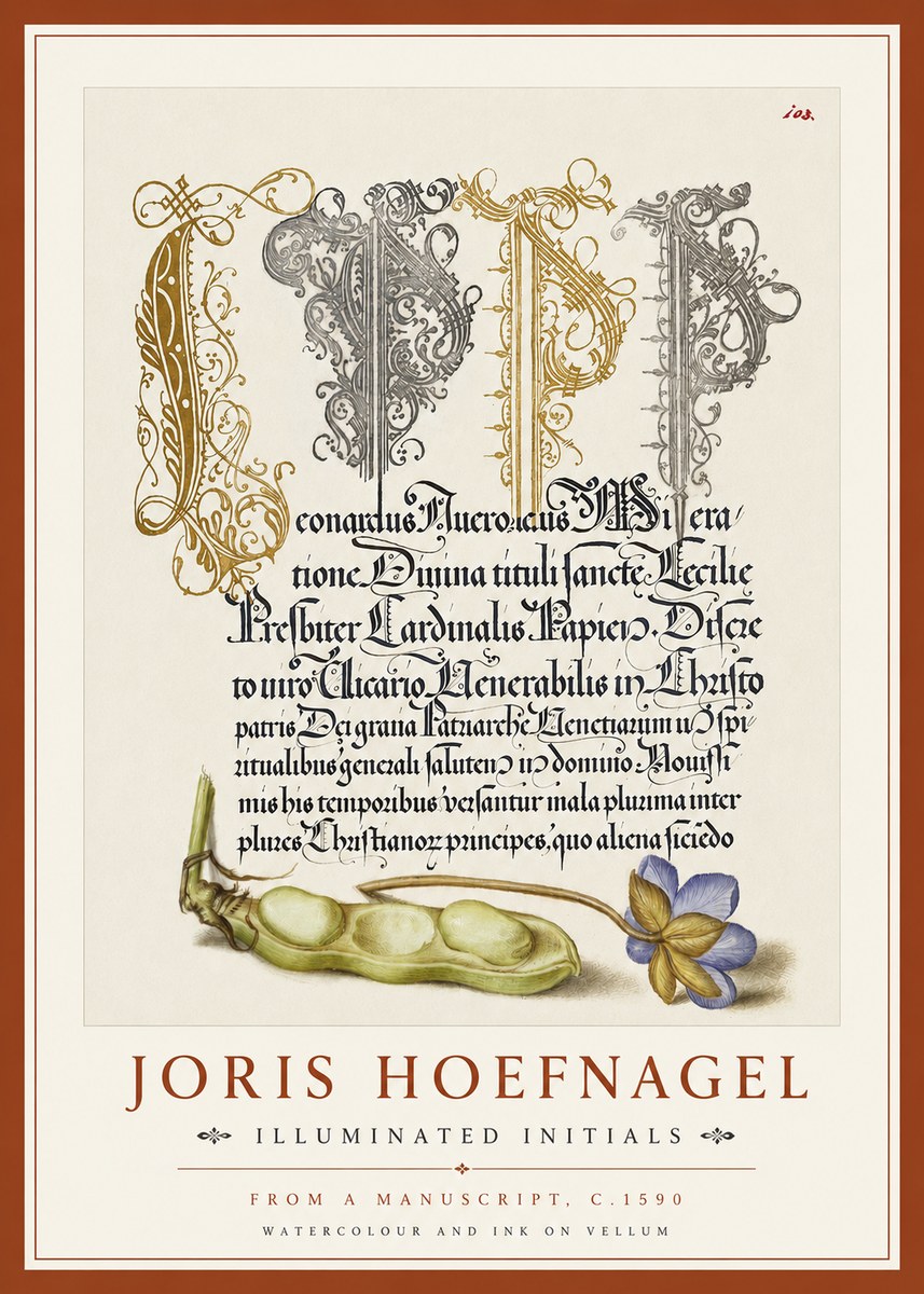 Joris Hoefnagel Illuminated Initials with Peapod and Flower No4 - Juliste