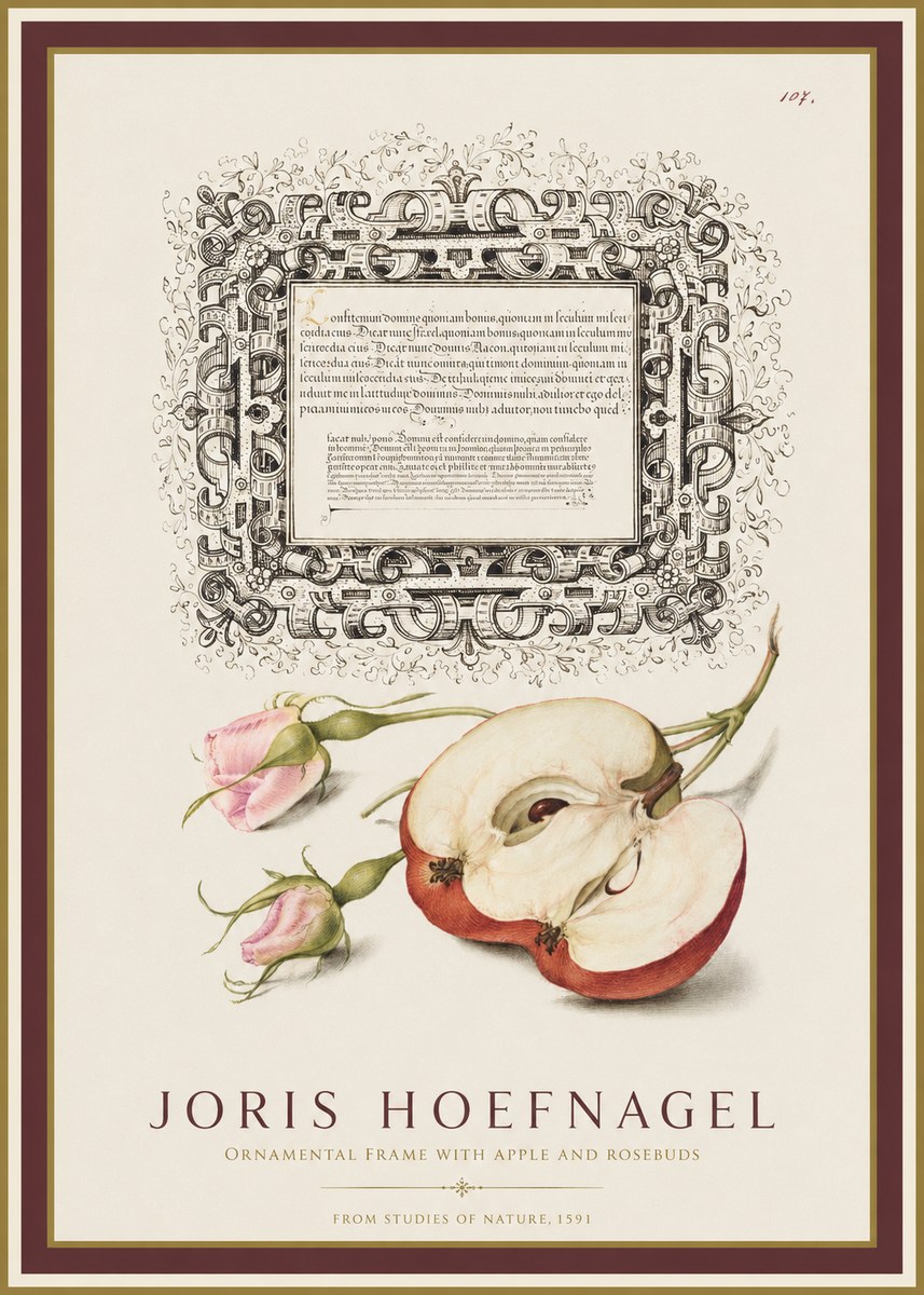 Joris Hoefnagel Illuminated Calligraphy and Botanical Study No2 - Juliste