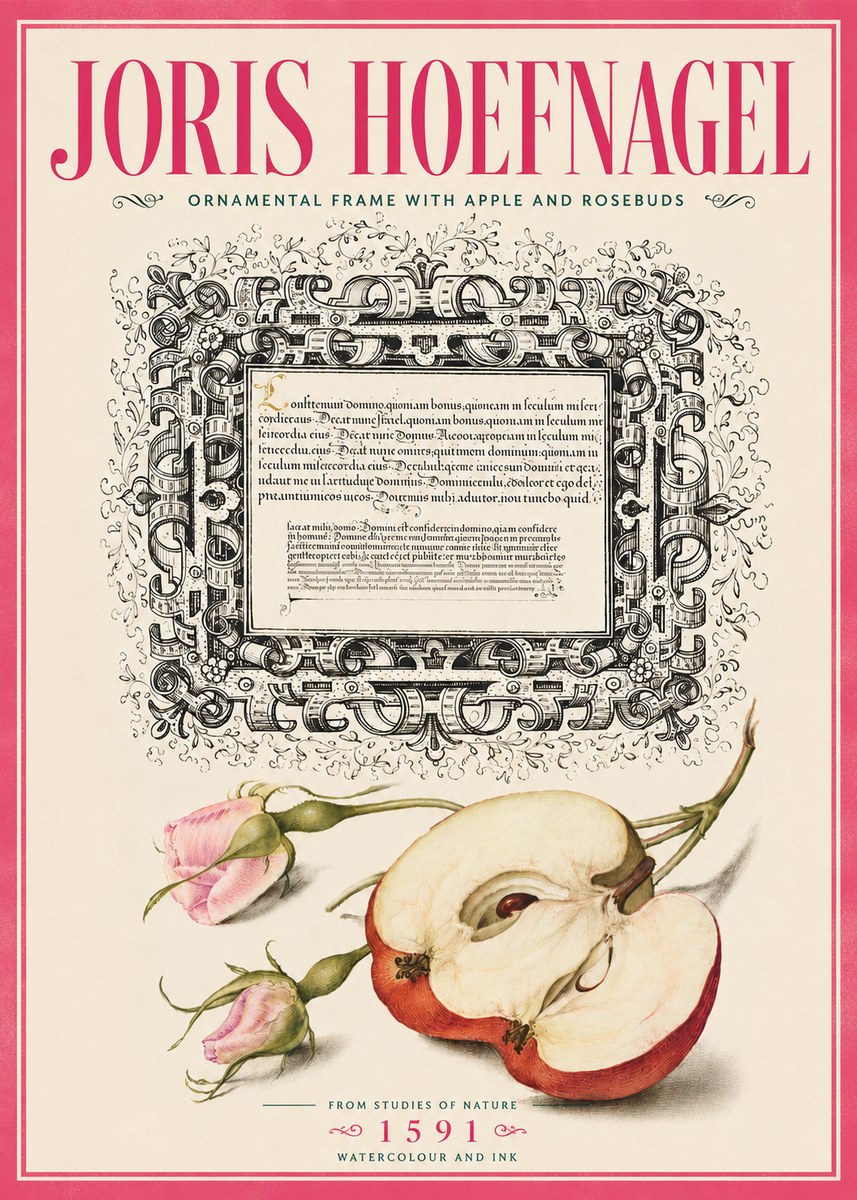 Joris Hoefnagel Illuminated Calligraphy and Botanical Study No6 - Juliste