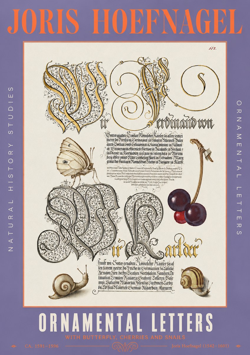 Joris Hoefnagel Ornamental Letters with Butterfly, Cherries and Snails No3 - Juliste