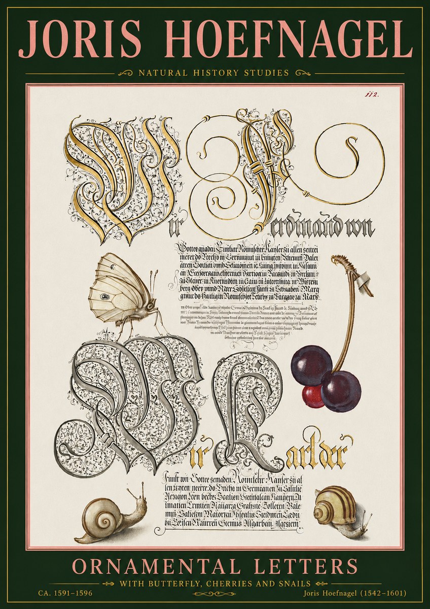 Joris Hoefnagel Ornamental Letters with Butterfly, Cherries and Snails No5 - Juliste