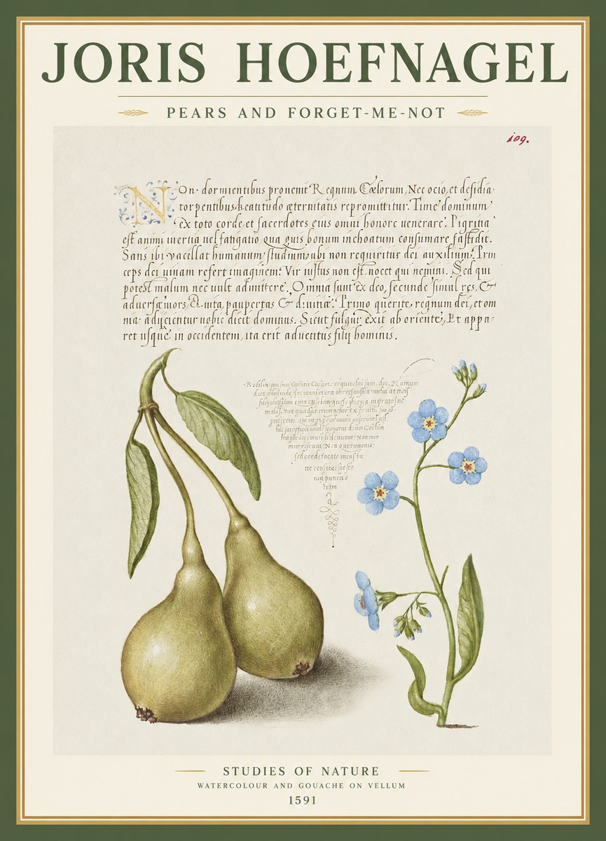 Joris Hoefnagel Pears and Forget-me-not No1 - Juliste