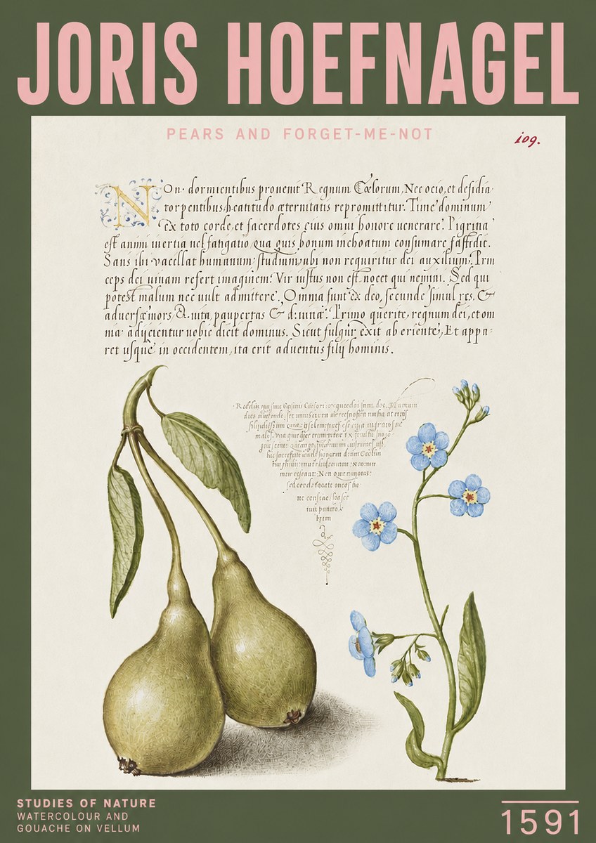 Joris Hoefnagel Pears and Forget-me-not No3 - Juliste