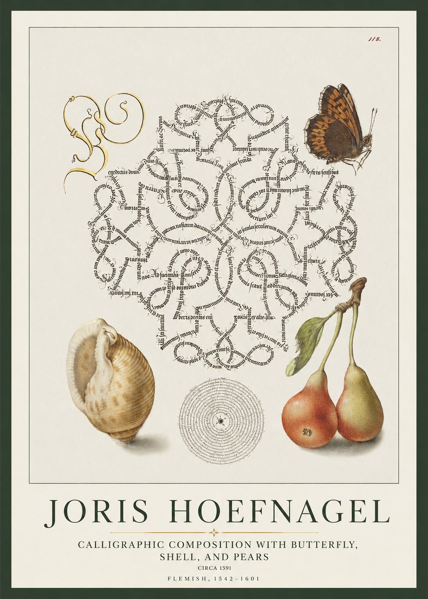 Joris Hoefnagel Calligraphic Composition with Butterfly, Shell, and Pears No1 - Juliste