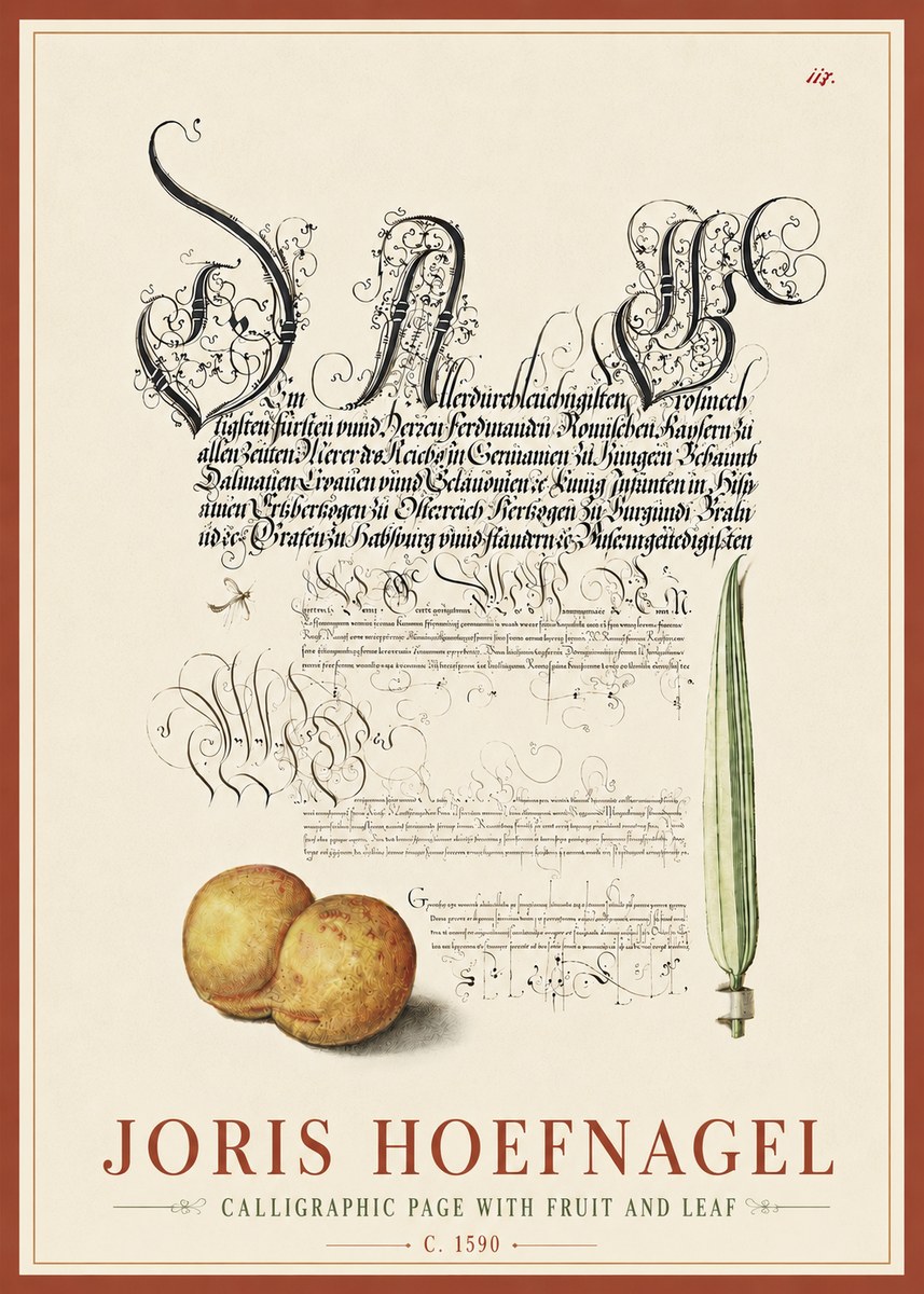 Joris Hoefnagel Calligraphic Page with Fruit and Leaf No6 - Juliste