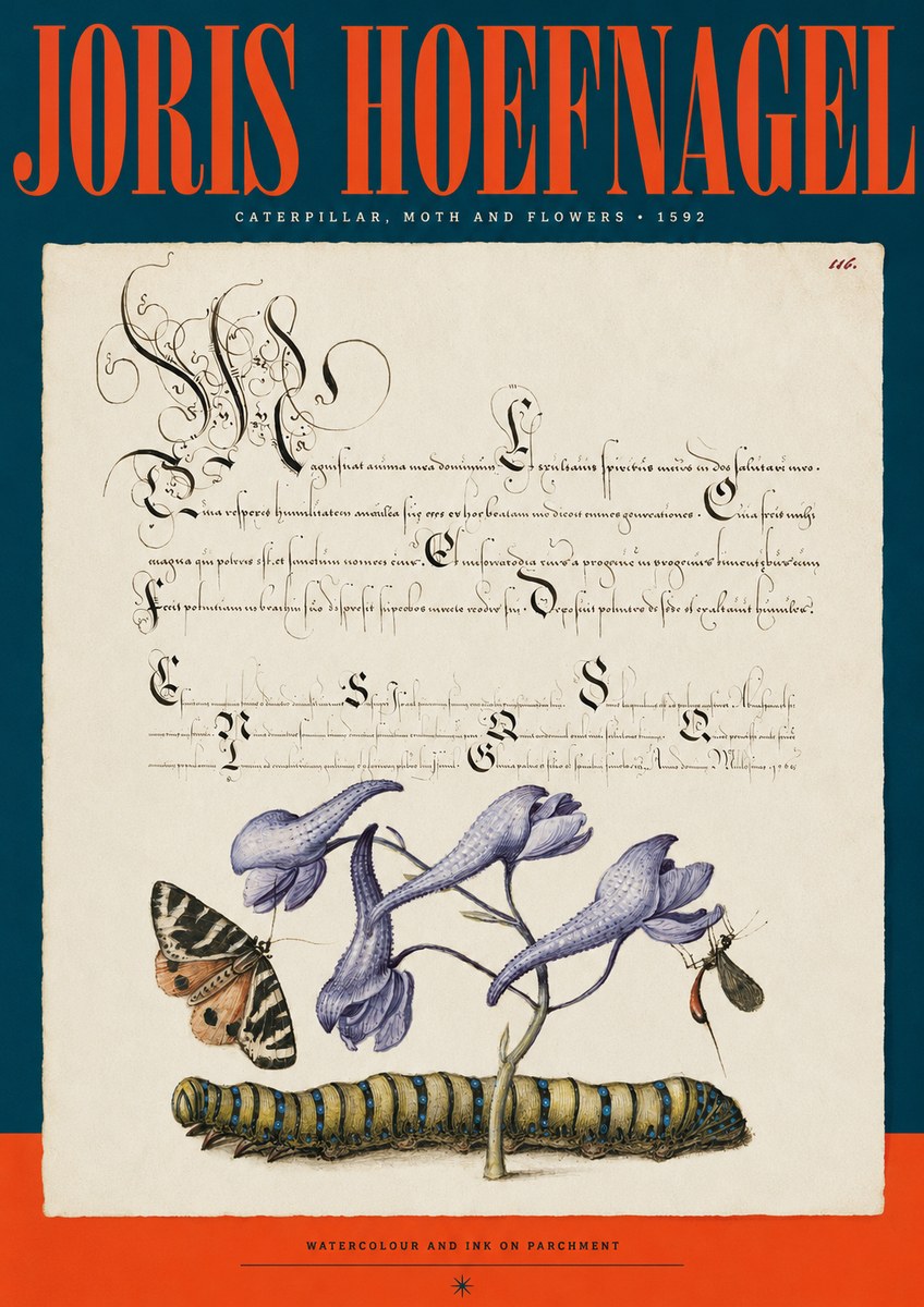 Joris Hoefnagel Caterpillar, Moth and Flowers No2 - Juliste