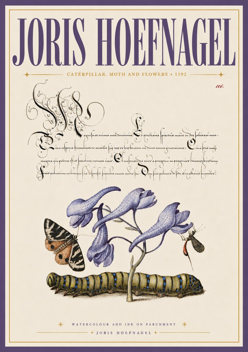 Joris Hoefnagel Caterpillar, Moth and Flowers No6 - Juliste