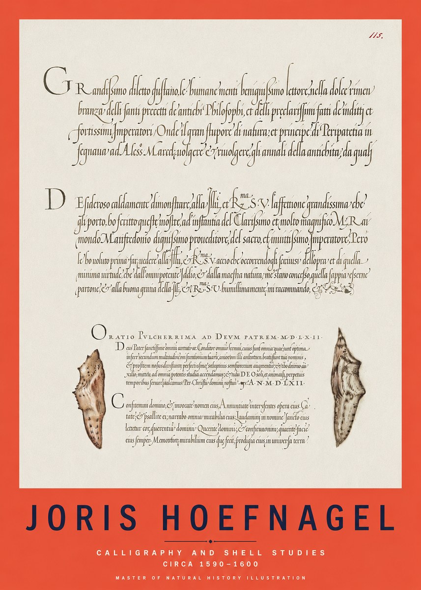 Joris Hoefnagel Study of Shells and Calligraphy No3 - Juliste