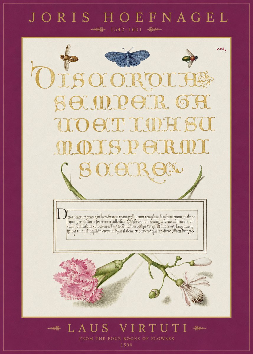 Joris Hoefnagel Laus Virtuti No2 - Juliste