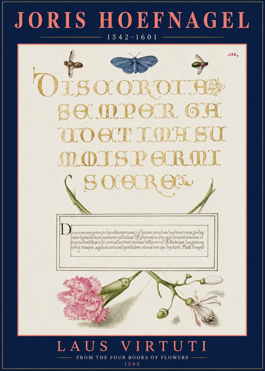Joris Hoefnagel Laus Virtuti No3 - Juliste