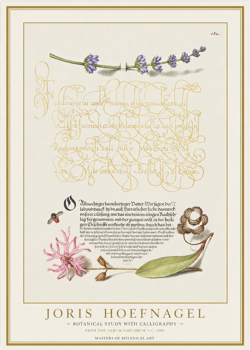 Joris Hoefnagel Botanical Study with Calligraphy IV No1 - Juliste