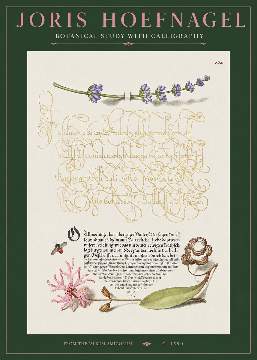 Joris Hoefnagel Botanical Study with Calligraphy IV No2 - Juliste