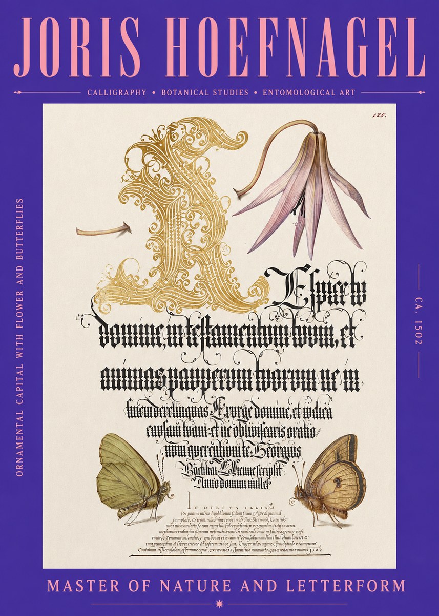 Joris Hoefnagel Ornamental Capital with Flower and Butterflies No2 - Juliste