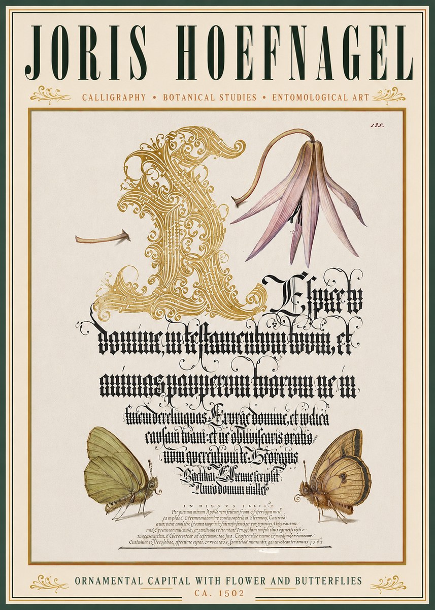 Joris Hoefnagel Ornamental Capital with Flower and Butterflies No3 - Juliste