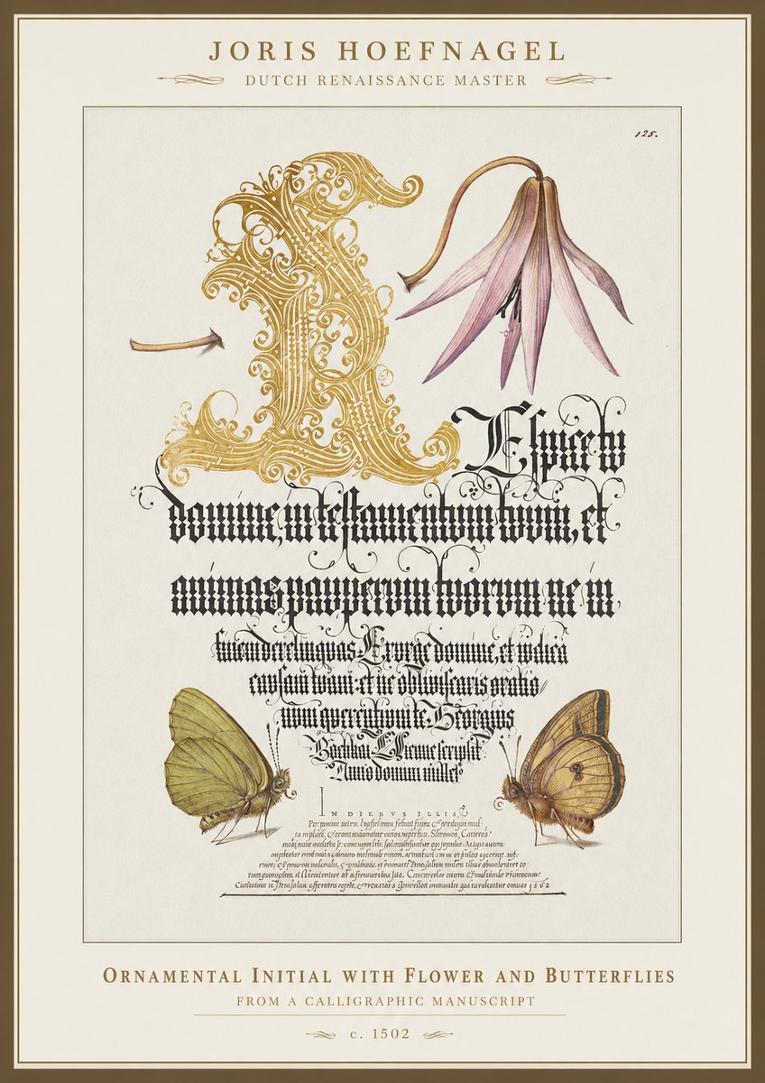 Joris Hoefnagel Ornamental Capital with Flower and Butterflies No5 - Juliste