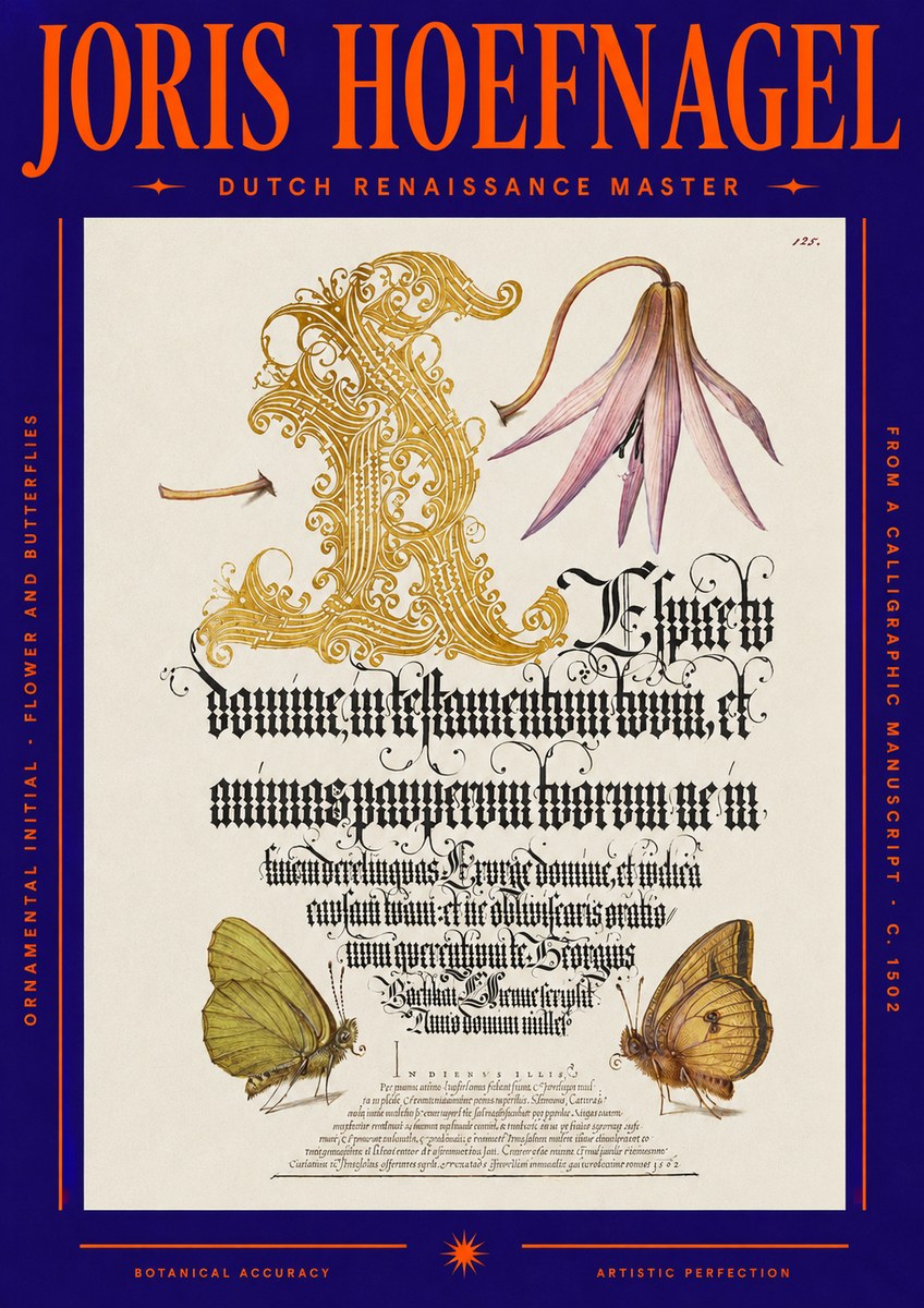 Joris Hoefnagel Ornamental Capital with Flower and Butterflies No6 - Juliste