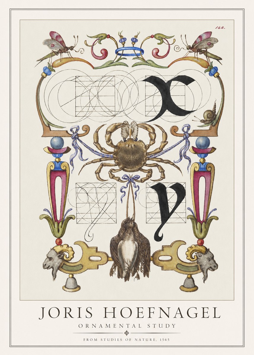 Joris Hoefnagel Ornamental Study II No1 - Juliste