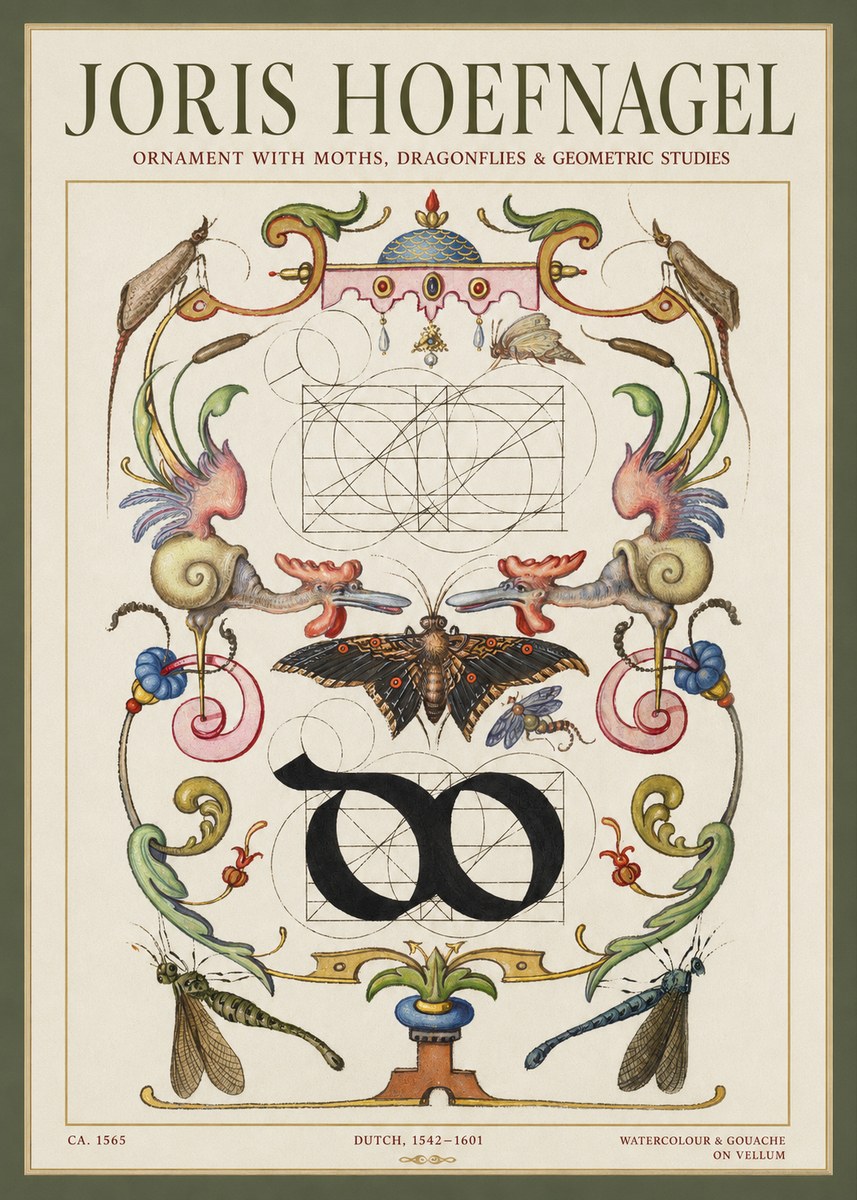 Joris Hoefnagel Ornament with Moths, Dragonflies & Geometric Studies No1 - Juliste