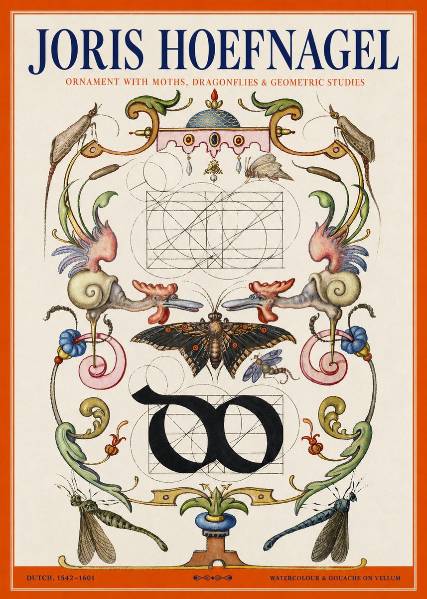 Joris Hoefnagel Ornament with Moths, Dragonflies & Geometric Studies No2 - Juliste
