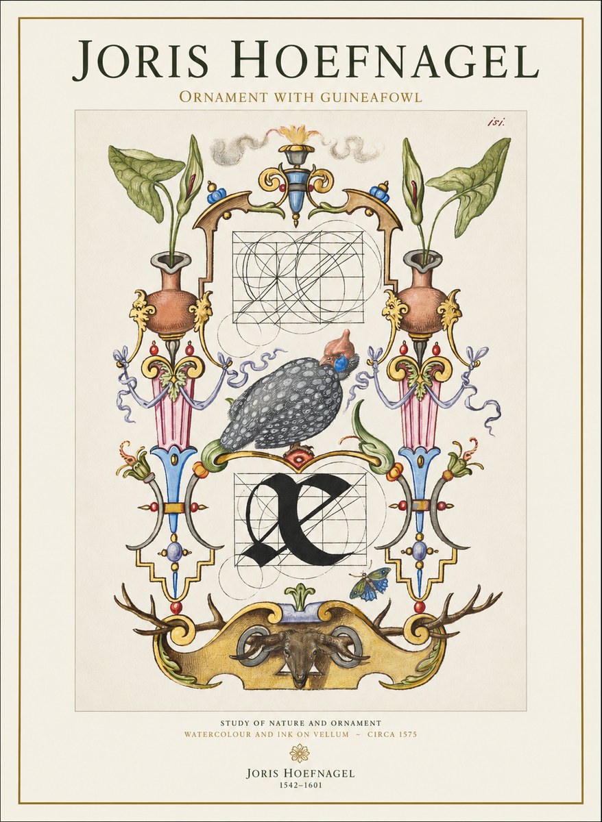 Joris Hoefnagel Ornament with Guineafowl No1 - Juliste