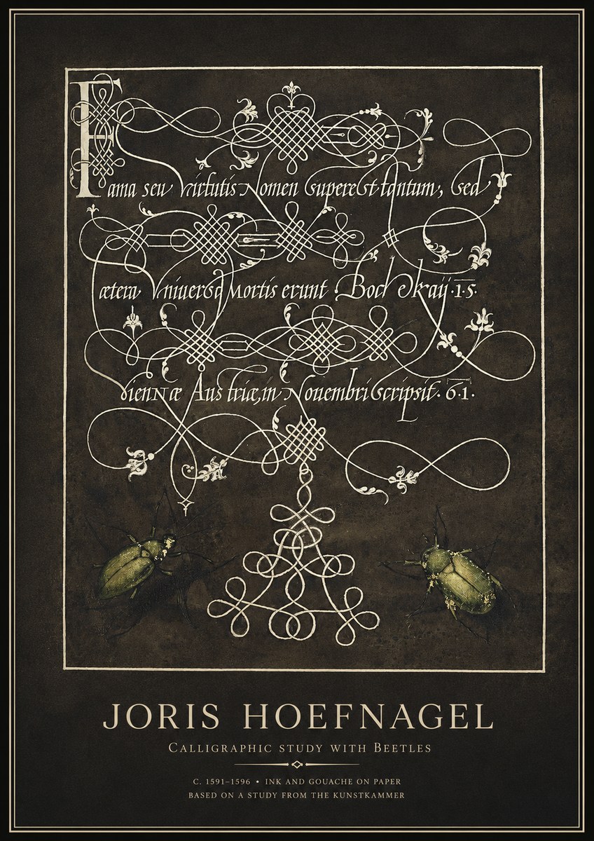 Joris Hoefnagel Calligraphic Study with Beetles No1 - Juliste