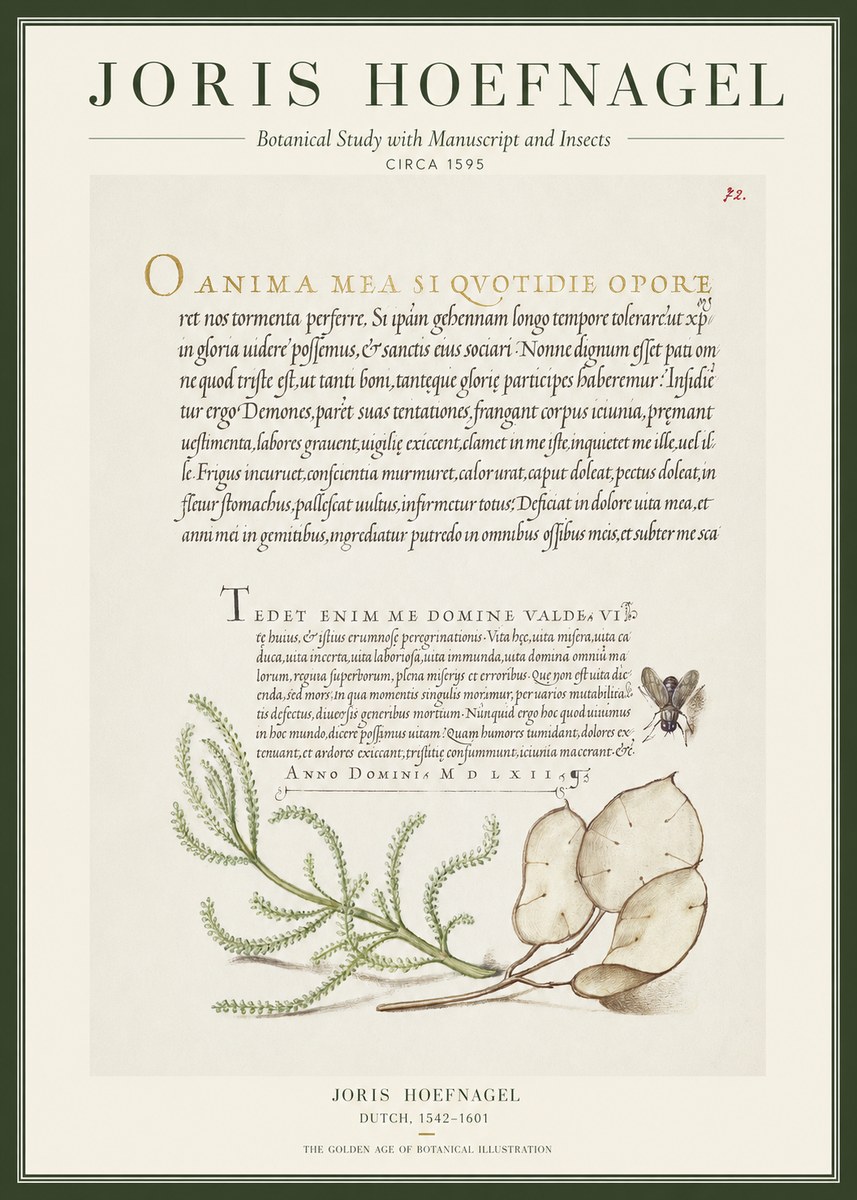 Joris Hoefnagel Botanical Study with Manuscript and Insects No1 - Juliste