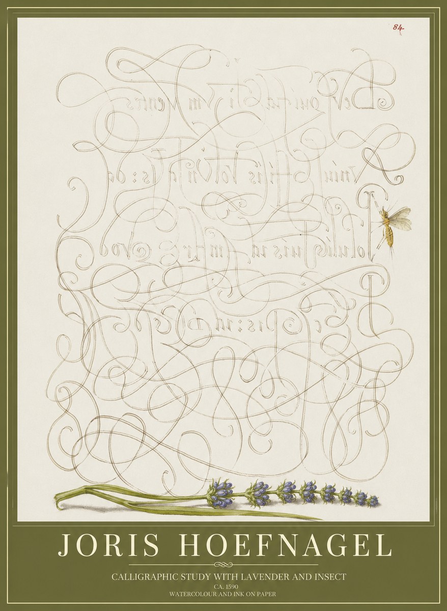 Joris Hoefnagel Calligraphic Study with Insect and Flower No5 - Juliste