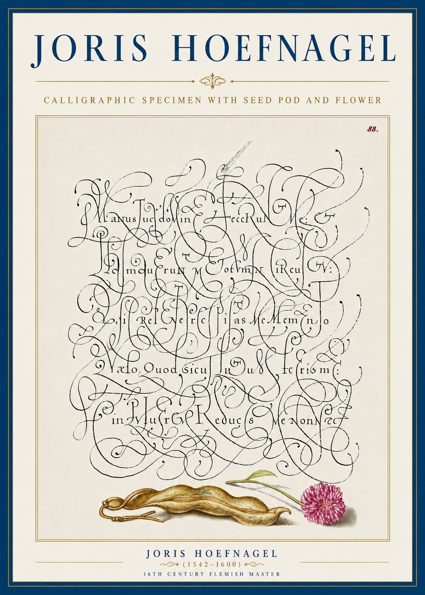 Joris Hoefnagel Calligraphic Specimen with Seed Pod and Flower No5 - Juliste