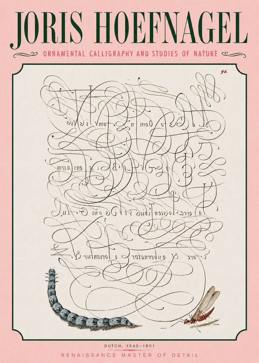 Joris Hoefnagel Ornamental Calligraphy and Studies of Nature No3 - Juliste
