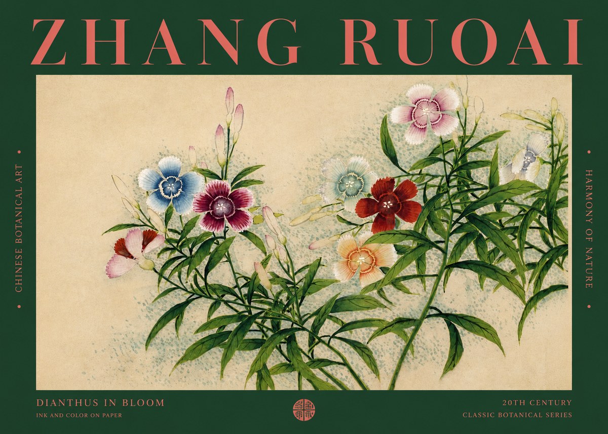 Zhang Ruoai Dianthus in Bloom No2 - Juliste