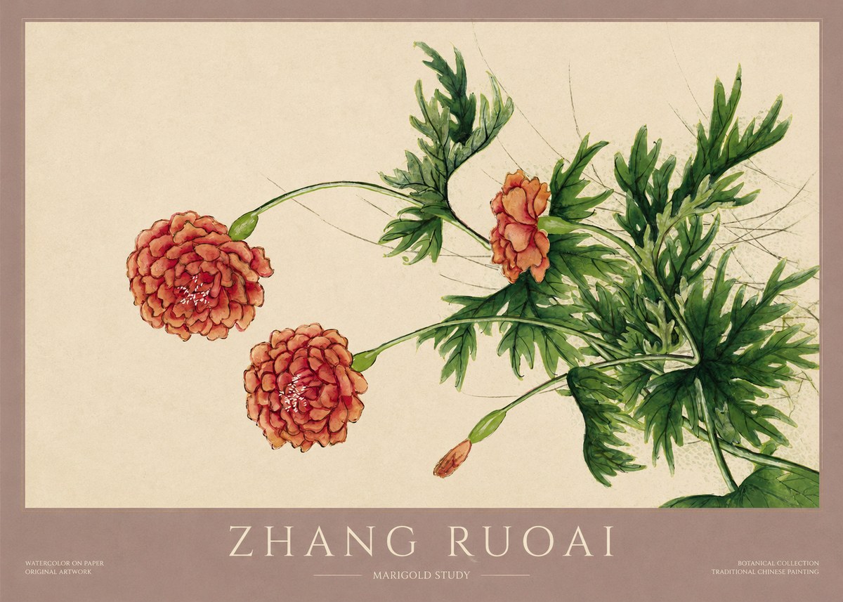 Zhang Ruoai Marigold Study No1 - Juliste