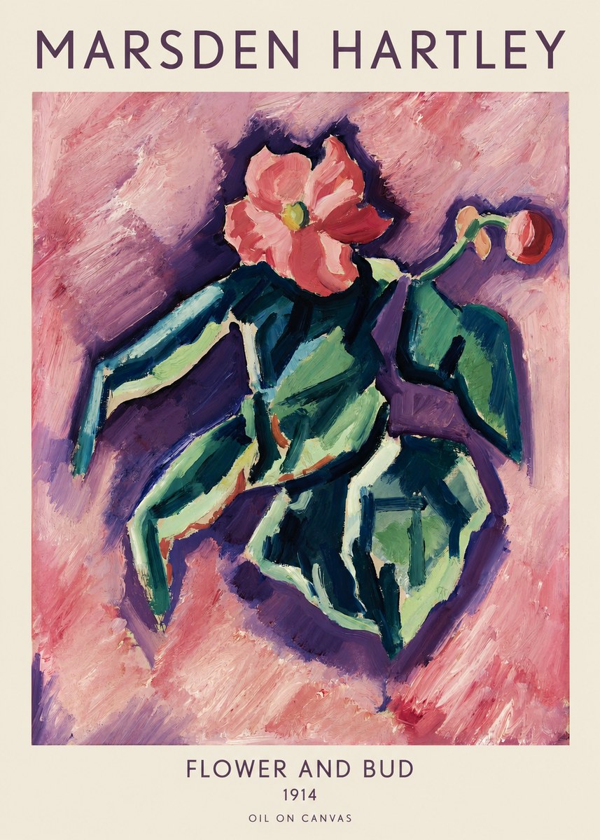 Marsden Hartley Flower and Bud No1 - Juliste