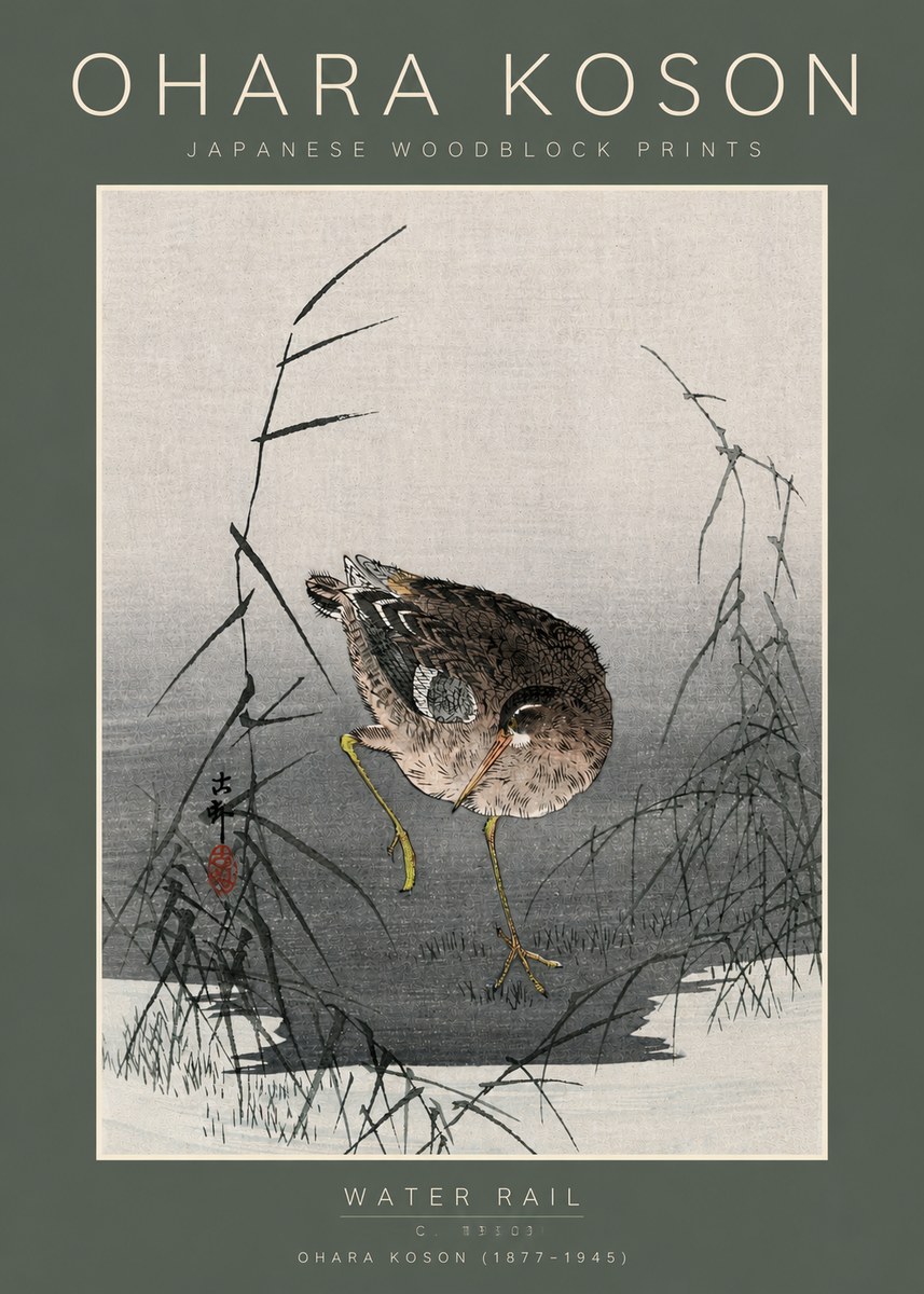 Ohara Koson Water Rail No5 - Juliste