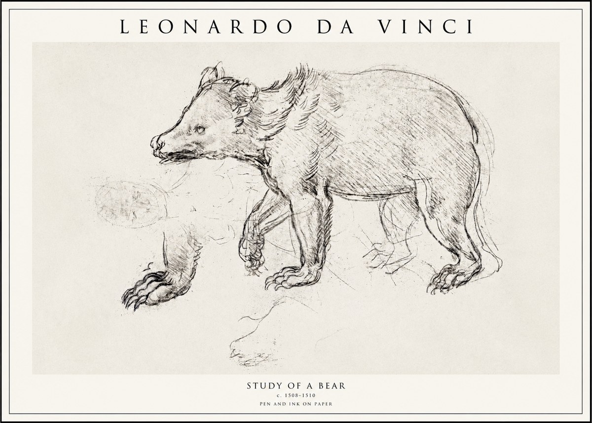 Leonardo da Vinci Study of a Bear No1 - Juliste