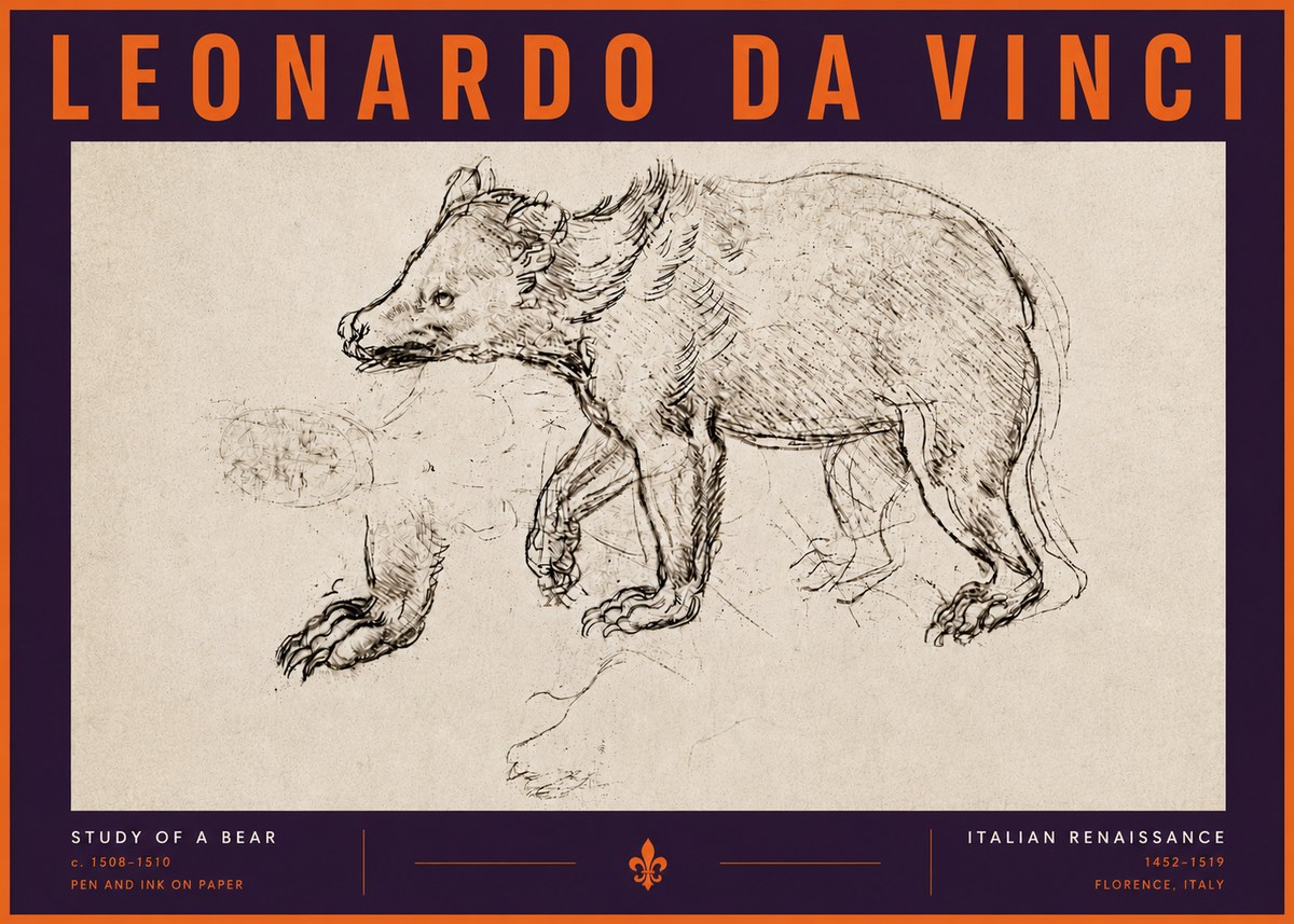 Leonardo da Vinci Study of a Bear No6 - Juliste