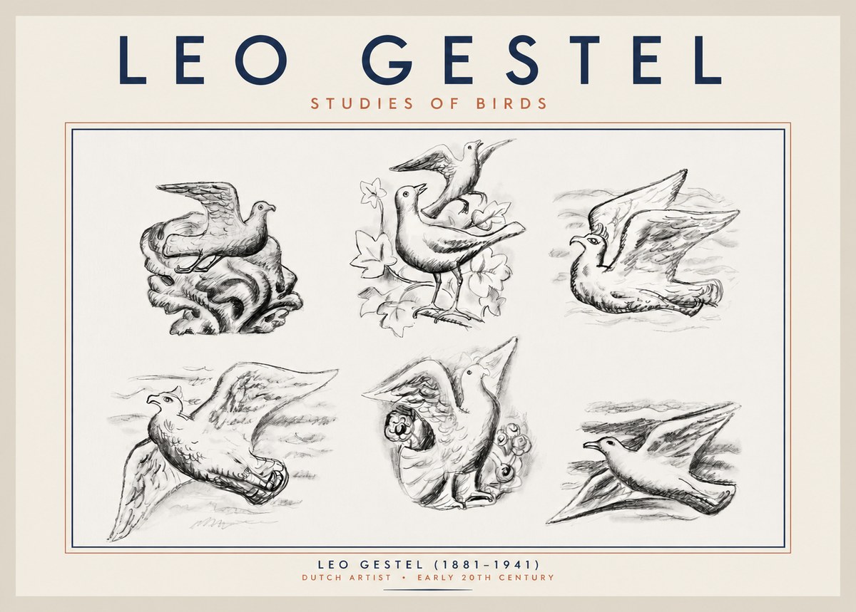 Leo Gestel Studies of Birds No2 - Juliste