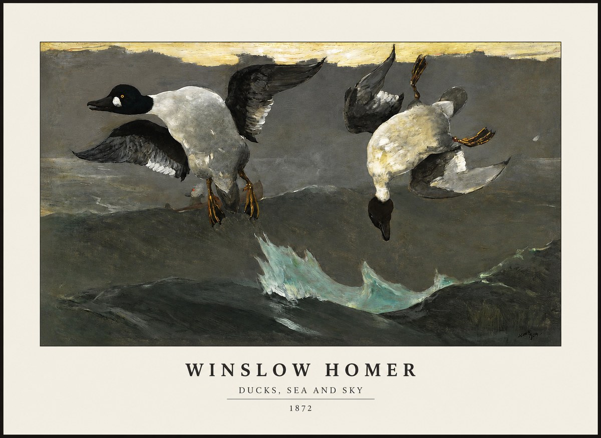 Winslow Homer Ducks, Sea and Sky No1 - Juliste