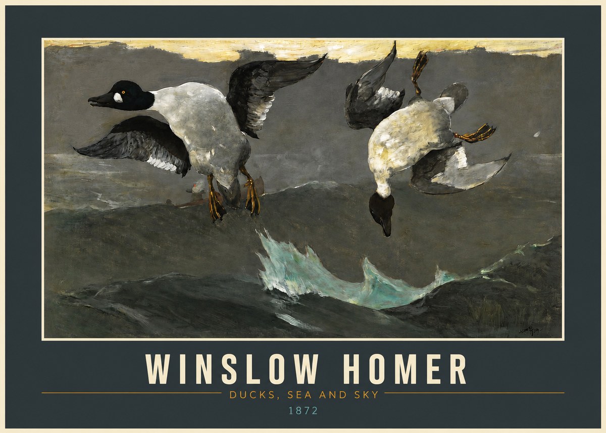 Winslow Homer Ducks, Sea and Sky No2 - Juliste