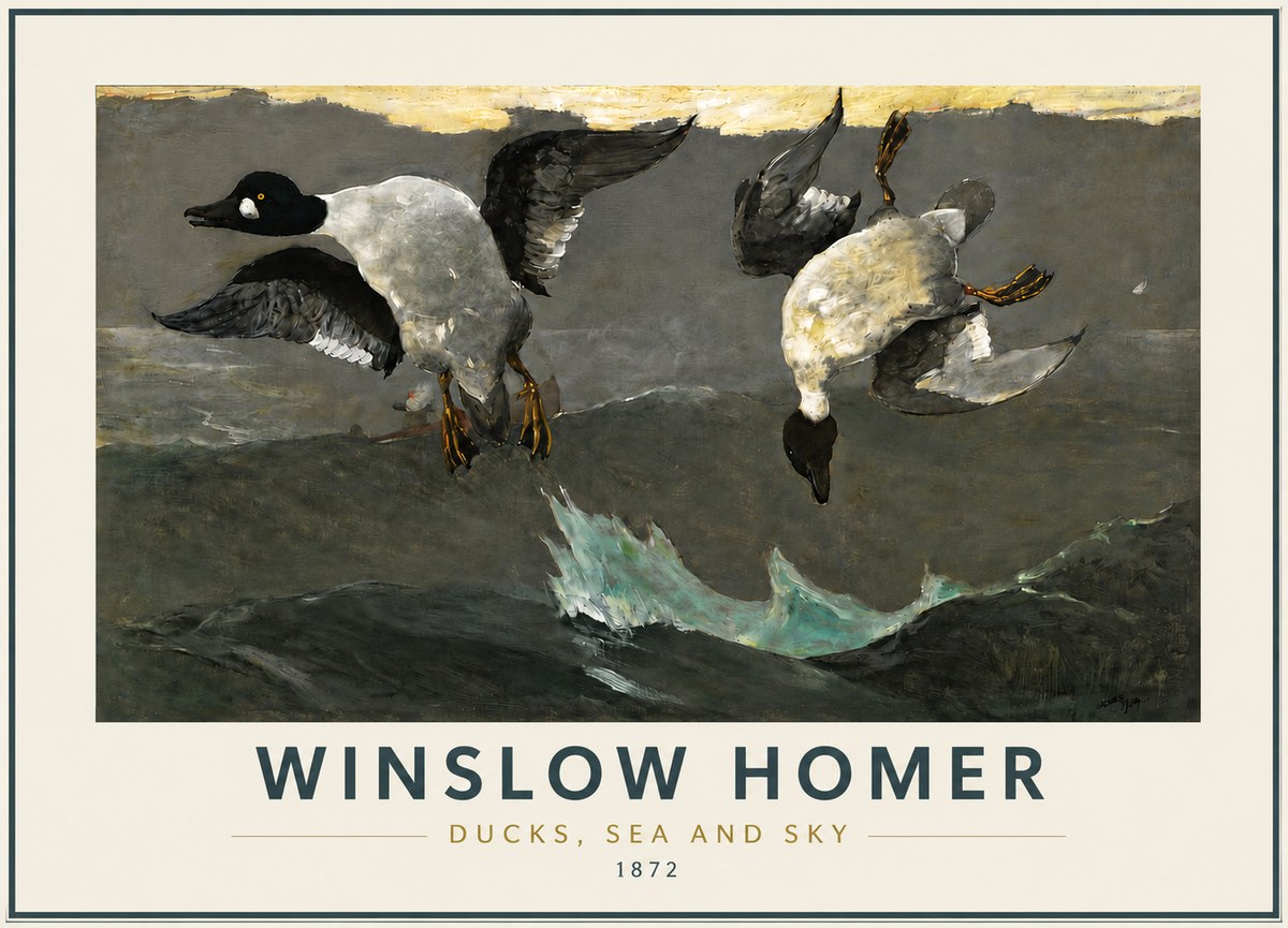 Winslow Homer Ducks, Sea and Sky No5 - Juliste