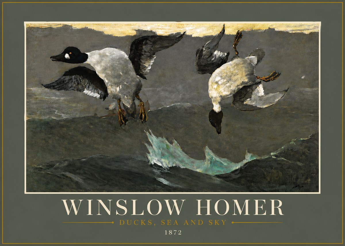 Winslow Homer Ducks, Sea and Sky No6 - Juliste