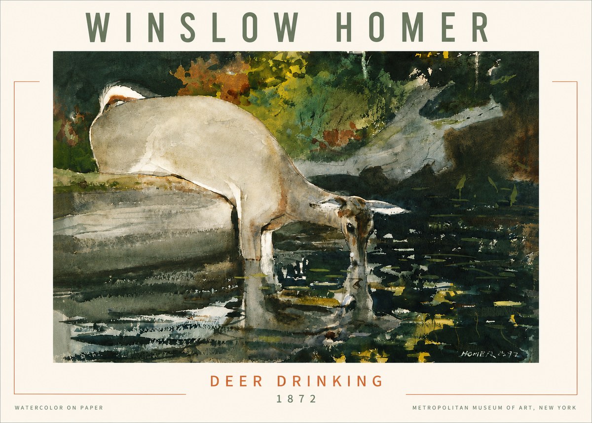 Winslow Homer Deer Drinking No4 - Juliste